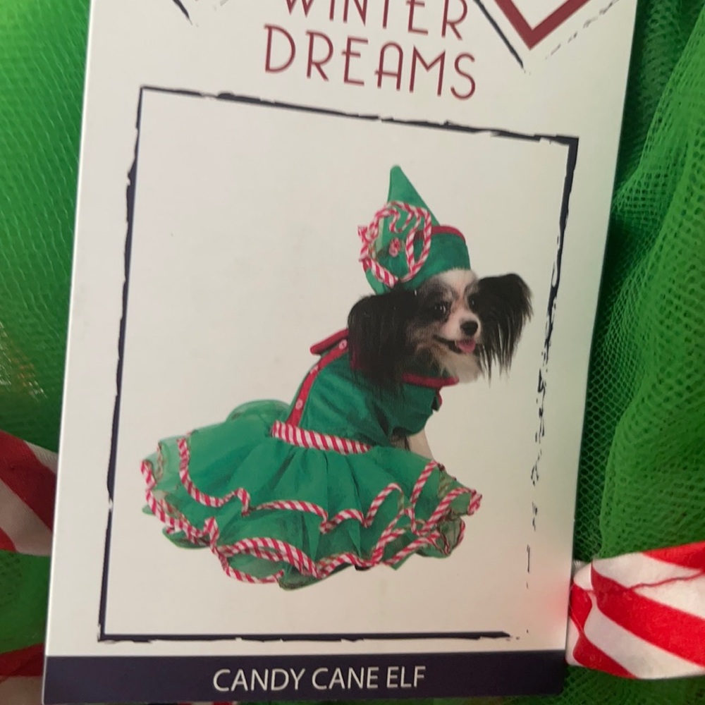 Dog candy cane elf costume